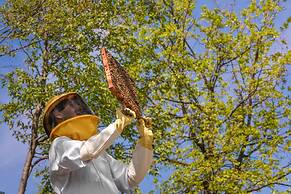 Agriturismo Borgo il Mezzanino