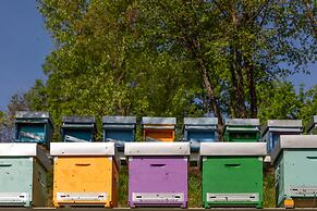 Agriturismo Borgo il Mezzanino