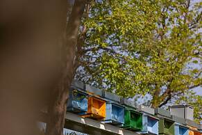 Agriturismo Borgo il Mezzanino