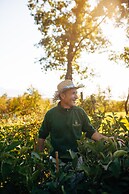 Agriturismo Borgo il Mezzanino
