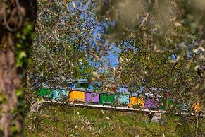 Agriturismo Borgo il Mezzanino