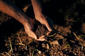 Agriturismo Borgo il Mezzanino