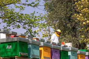 Agriturismo Borgo il Mezzanino