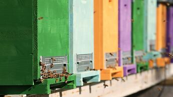 Agriturismo Borgo il Mezzanino