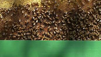 Agriturismo Borgo il Mezzanino