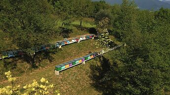 Agriturismo Borgo il Mezzanino