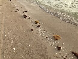 Casa BreMar 3097 - Only Adults