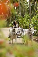 Ibex River Resort , Pollachi