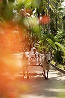 Ibex River Resort , Pollachi