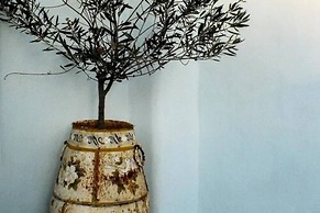 Pangaia Seaside Hotel Adults Only