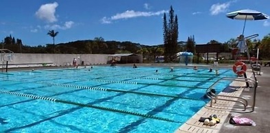 Kehena Treetop 1 Bedroom Home by RedAwning