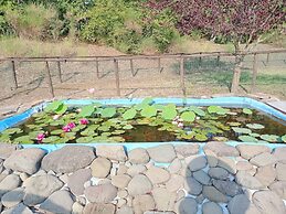 Agriturismo la Coccinella