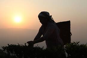 Sourenee Tea Estate & Boutique Resort
