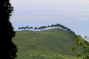 Sourenee Tea Estate & Boutique Resort