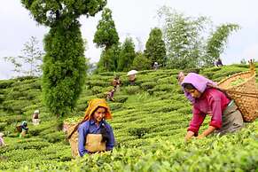 Sourenee Tea Estate & Boutique Resort
