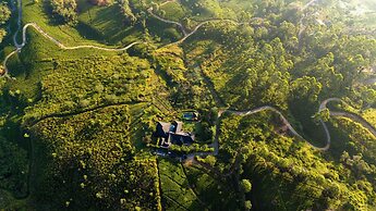 Camellia Hills