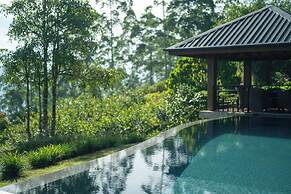 Camellia Hills