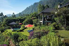 Camellia Hills