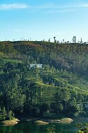 Camellia Hills
