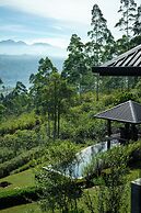Camellia Hills