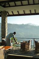 Camellia Hills