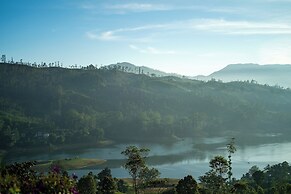 Camellia Hills