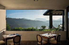 Camellia Hills
