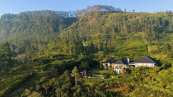 Camellia Hills