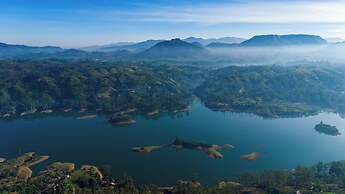 Camellia Hills