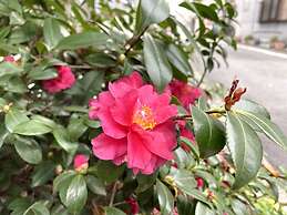 Briller Kyoto Tambaguchi C