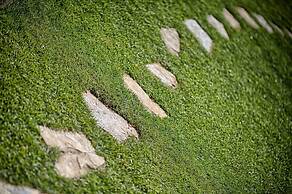 Luxury Chianti in Olive