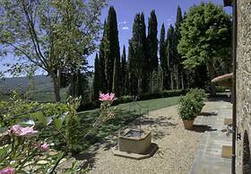 Luxury Chianti in Olive