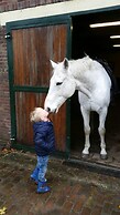 Erve Het Roolvink