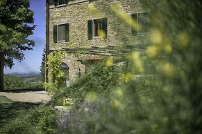 Luxury Chianti Between Grapes