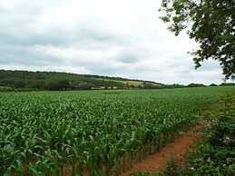 Relaxing Studio - Sauna - Luxe Bed - Pet-friendly
