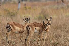 Montebelo Milibangalala Bay Resort
