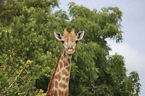 Montebelo Milibangalala Bay Resort