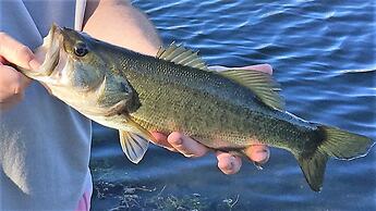 4636 5-bed Disney Area Pool Home, Cumbrian Lakes