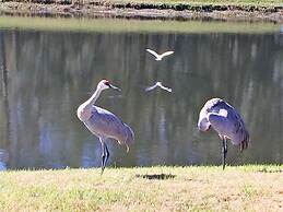 4636 5-bed Disney Area Pool Home, Cumbrian Lakes
