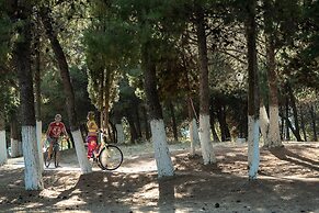 MOSSA WELL BEING HOTEL