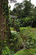 Sonora Caribbean Jungle Retreat