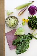 Sonora Caribbean Jungle Retreat