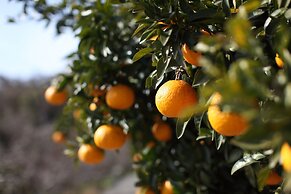 Setouchi Villa Diary Ohshibajima