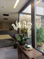 Shade Suites and Studios