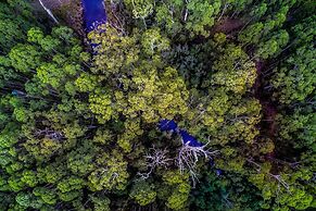 Saintys Creek Cottage