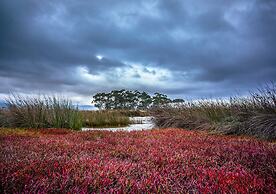 Saintys Creek Cottage