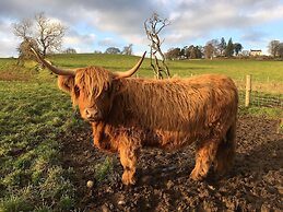 Beautiful 8-bed House in Angus