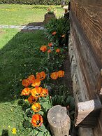 Chalet sur les Monts Morzine