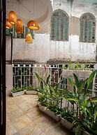 Centraltique Hidden Oasis