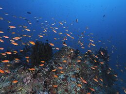 Kagi Maldives Resort & Spa